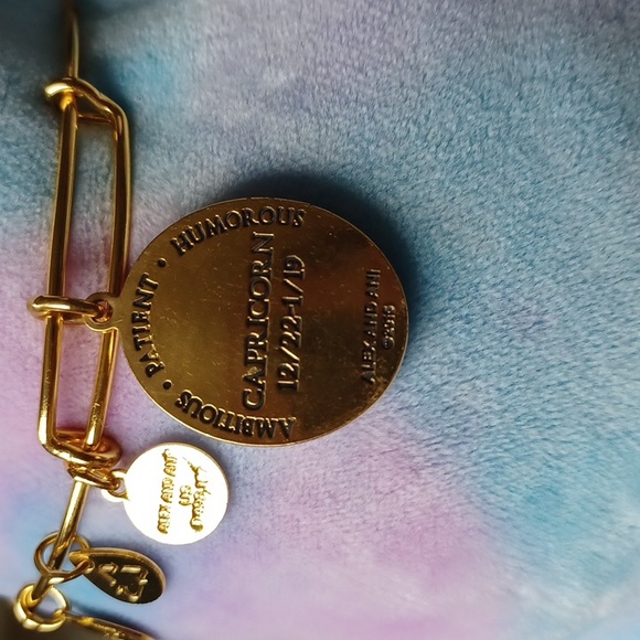 Capricorn Celestial Wheel expandable bangle by Alex and Ani RARE/DISCONTINUED - Picture 6 of 12